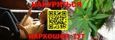 сатива Малгобек
